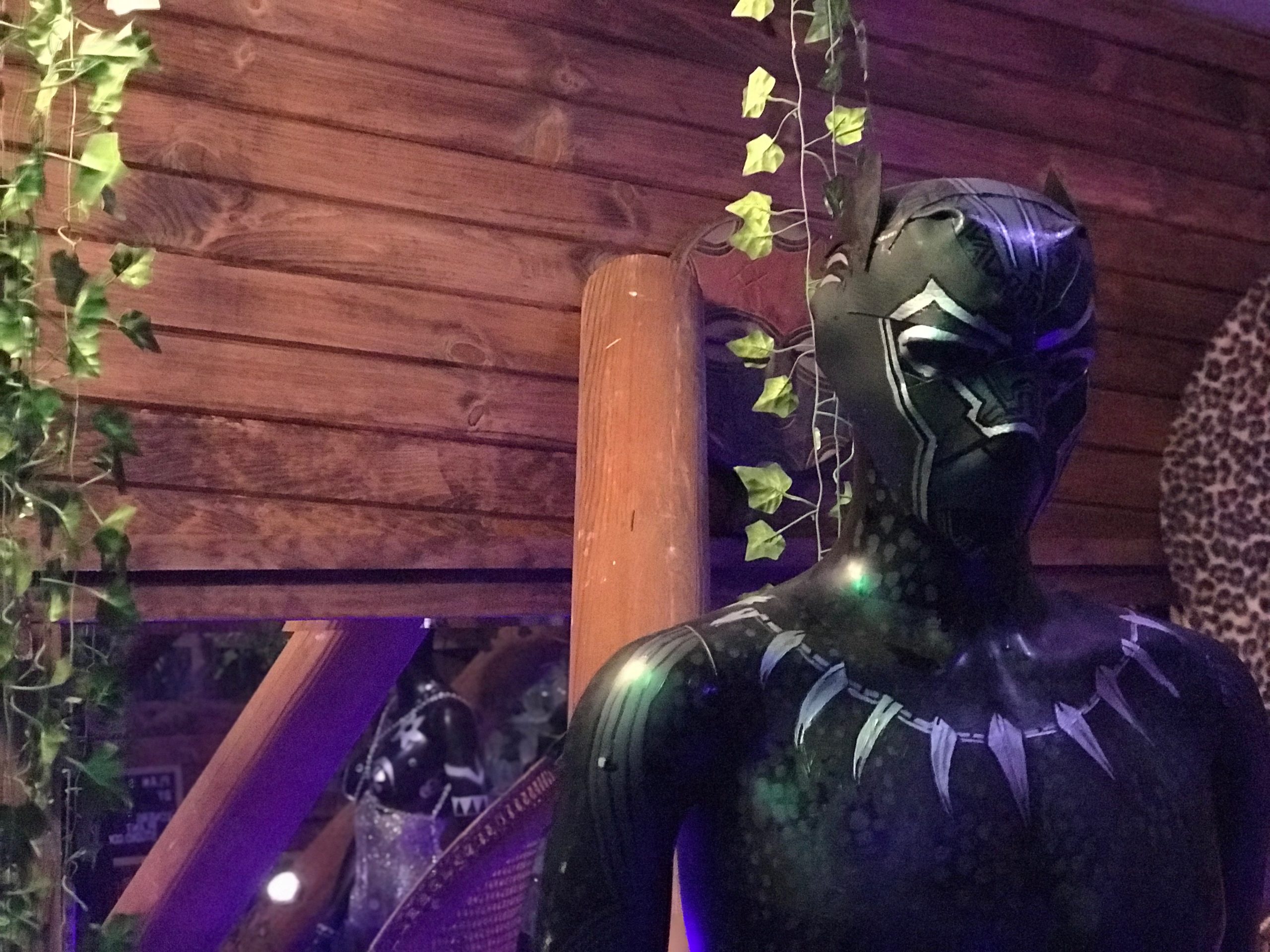 DC’s Black Panther Pop-up Bar Was Truly Lit
